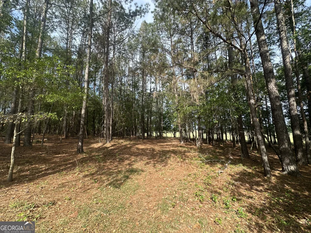 1309 Jarrell Pond RD Sylvania, GA 30467