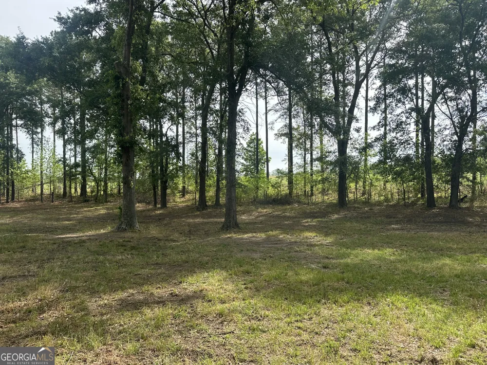 1309 Jarrell Pond RD Sylvania, GA 30467