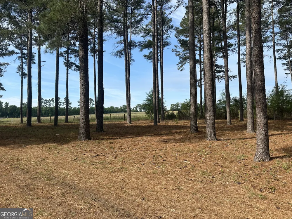 1309 Jarrell Pond RD Sylvania, GA 30467