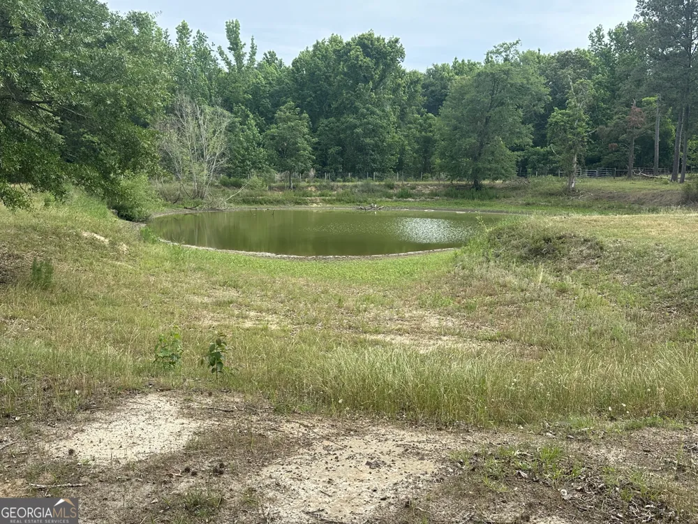 1309 Jarrell Pond RD Sylvania, GA 30467