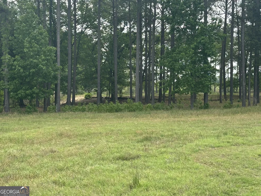 1309 Jarrell Pond RD Sylvania, GA 30467