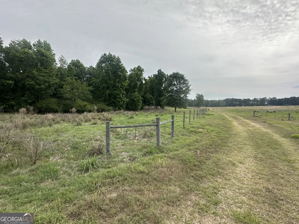1309 Jarrell Pond RD Sylvania, GA 30467