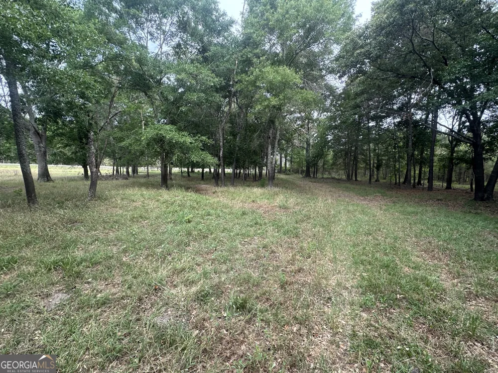 1309 Jarrell Pond RD Sylvania, GA 30467