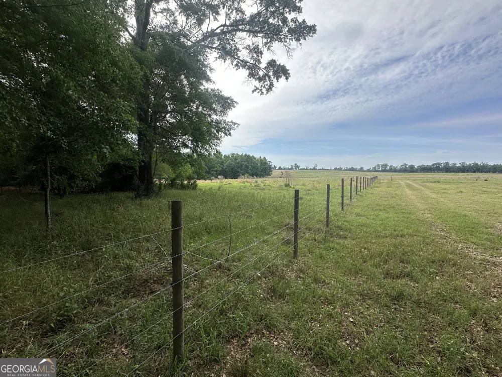 1309 Jarrell Pond RD Sylvania, GA 30467
