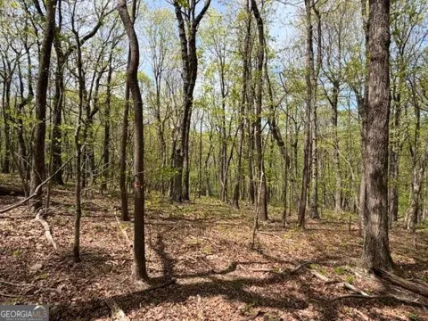 LOT 26 Falcons Nest