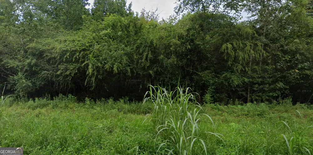 0 Wildlife Lake RD Summerville, GA 30747