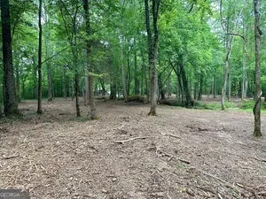 0 Wildlife Lake RD Summerville, GA 30747