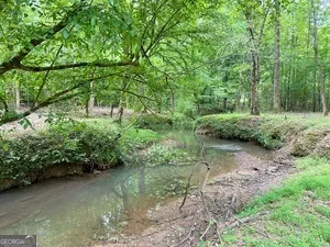 0 Wildlife Lake RD Summerville, GA 30747