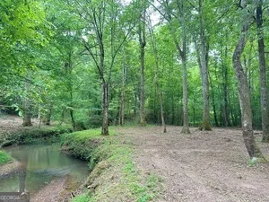 0 Wildlife Lake RD Summerville, GA 30747