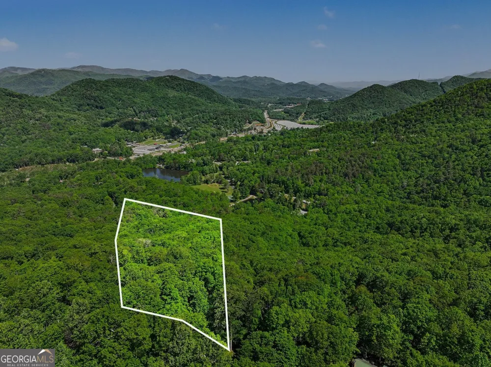 4 ACRES Dancing Bear TRL Clayton, GA 30525