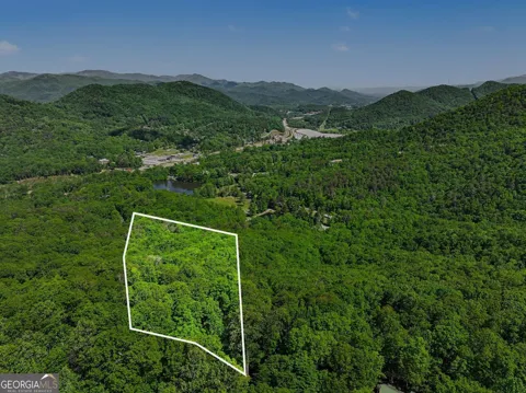 4 ACRES Dancing Bear TRL