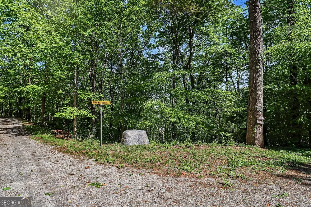 4 ACRES Dancing Bear TRL Clayton, GA 30525