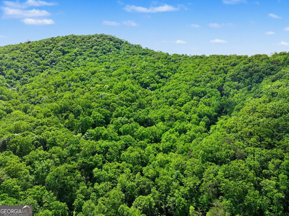 4 ACRES Dancing Bear TRL Clayton, GA 30525
