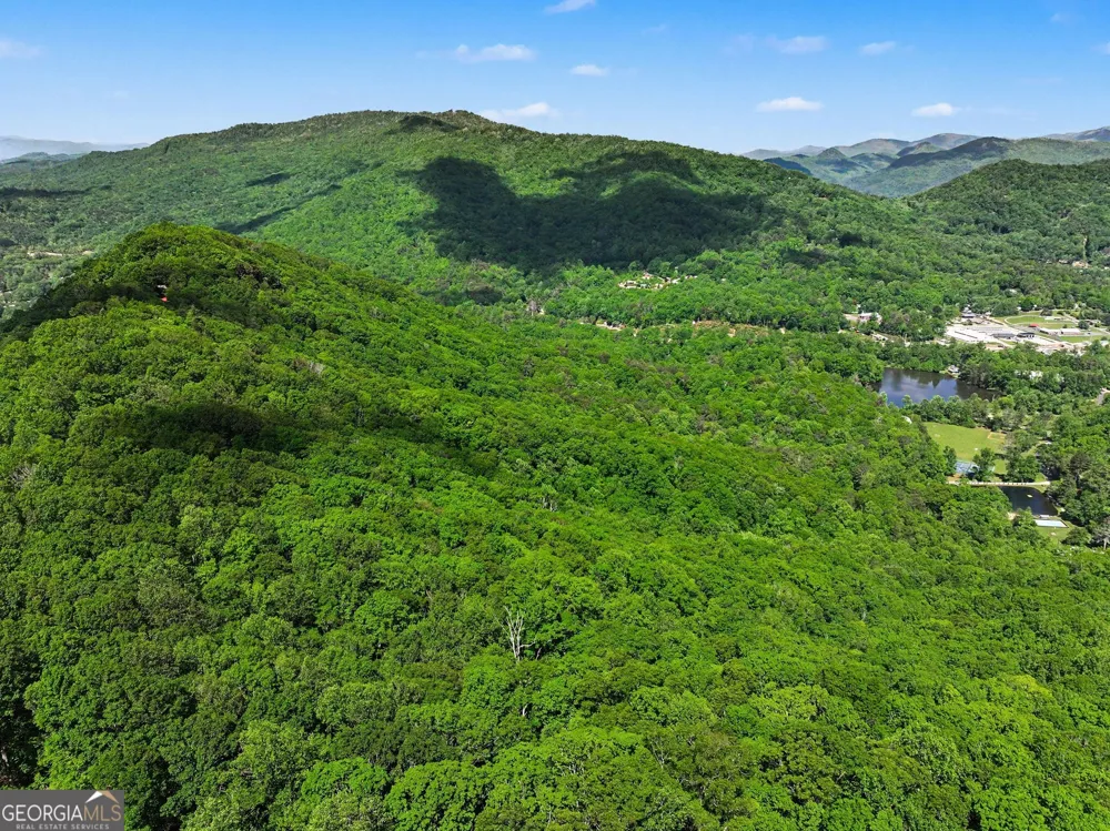 4 ACRES Dancing Bear TRL Clayton, GA 30525