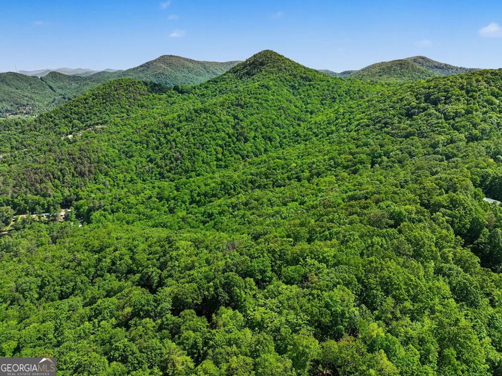 4 ACRES Dancing Bear TRL Clayton, GA 30525