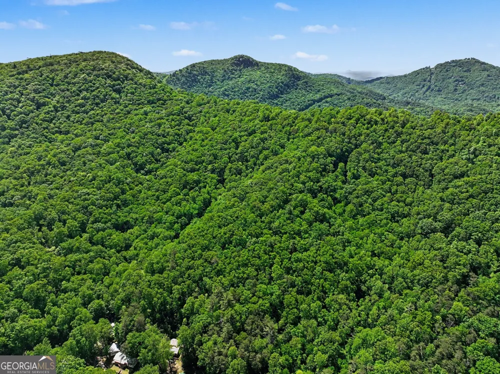 4 ACRES Dancing Bear TRL Clayton, GA 30525