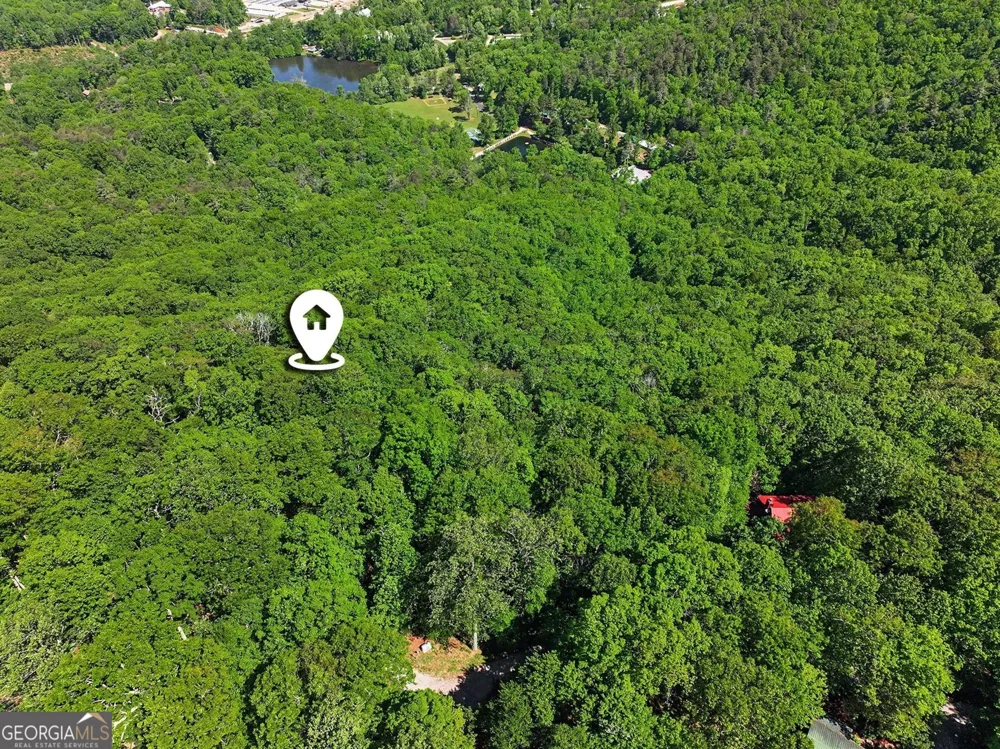 4 ACRES Dancing Bear TRL Clayton, GA 30525
