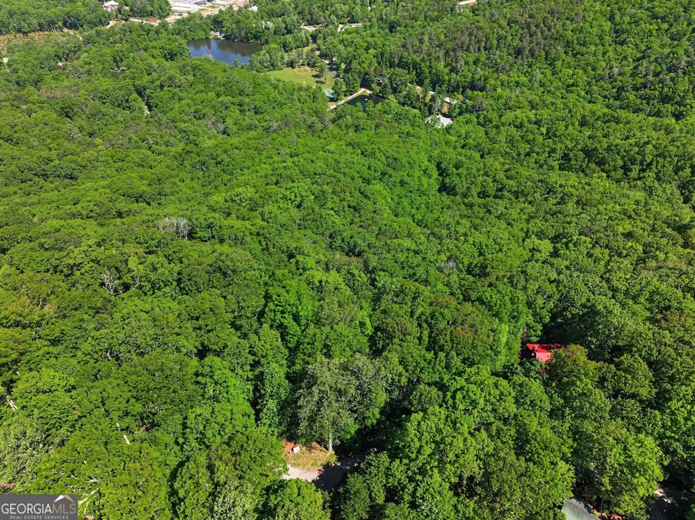 4 ACRES Dancing Bear TRL Clayton, GA 30525