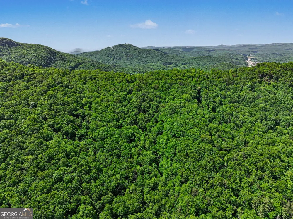 4 ACRES Dancing Bear TRL Clayton, GA 30525