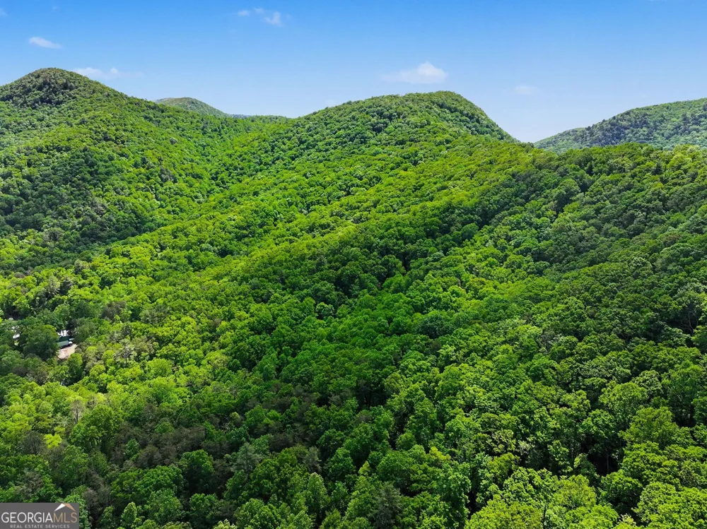 4 ACRES Dancing Bear TRL Clayton, GA 30525