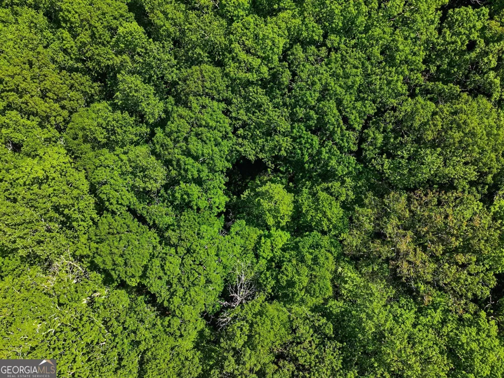 4 ACRES Dancing Bear TRL Clayton, GA 30525