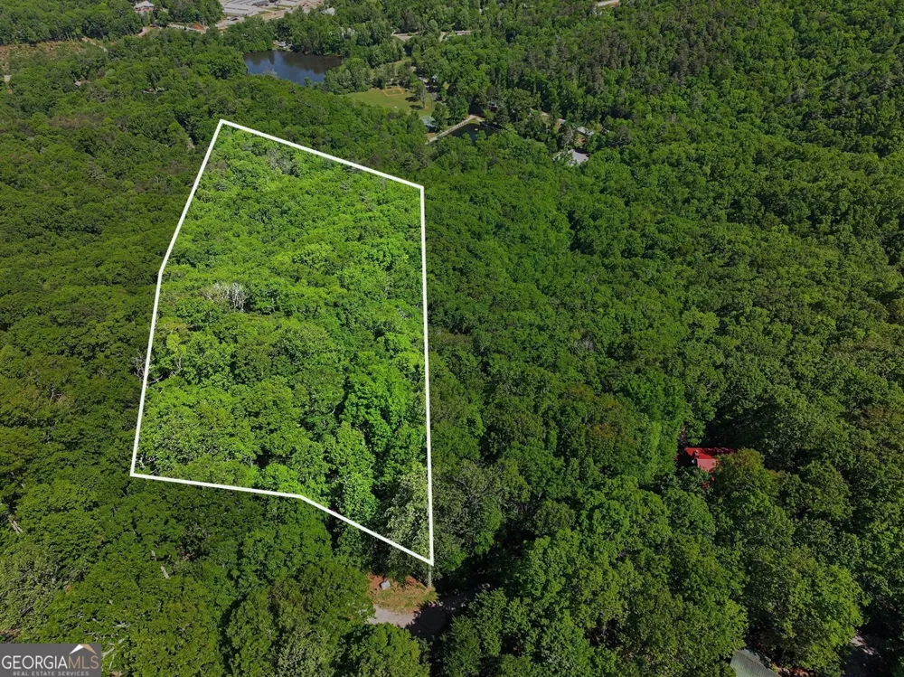 4 ACRES Dancing Bear TRL Clayton, GA 30525