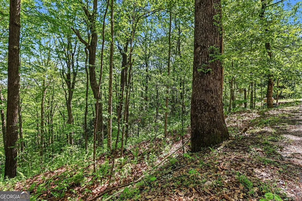 4 ACRES Dancing Bear TRL Clayton, GA 30525