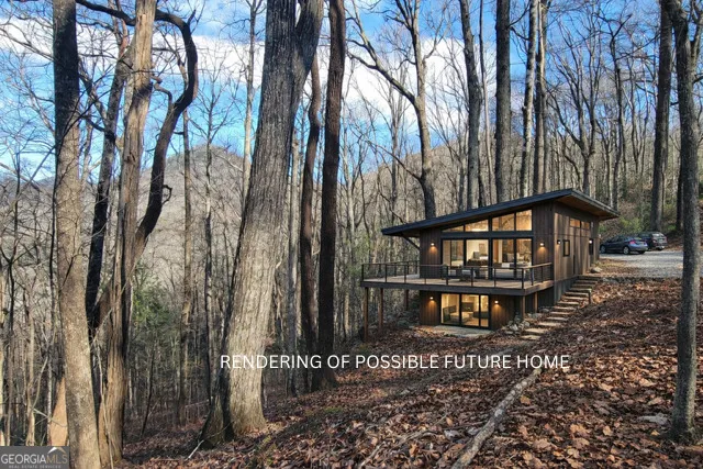 4 ACRES Dancing Bear TRL Clayton, GA 30525
