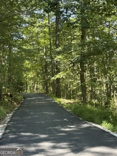 4 ACRES Dancing Bear TRL Clayton, GA 30525