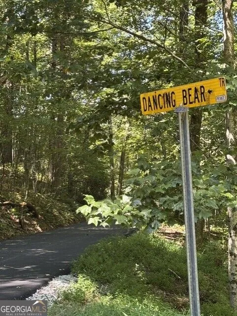 4 ACRES Dancing Bear TRL Clayton, GA 30525