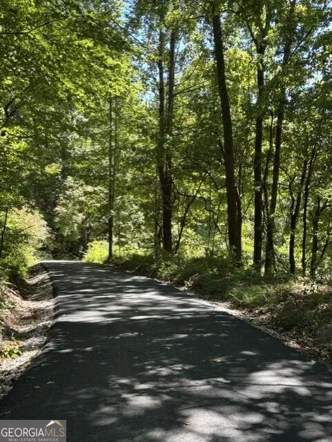 4 ACRES Dancing Bear TRL Clayton, GA 30525