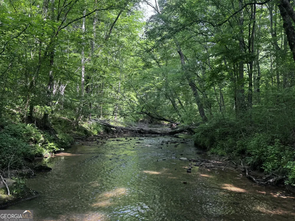 715+/- AC Ridgeway RD Franklin, GA 30217
