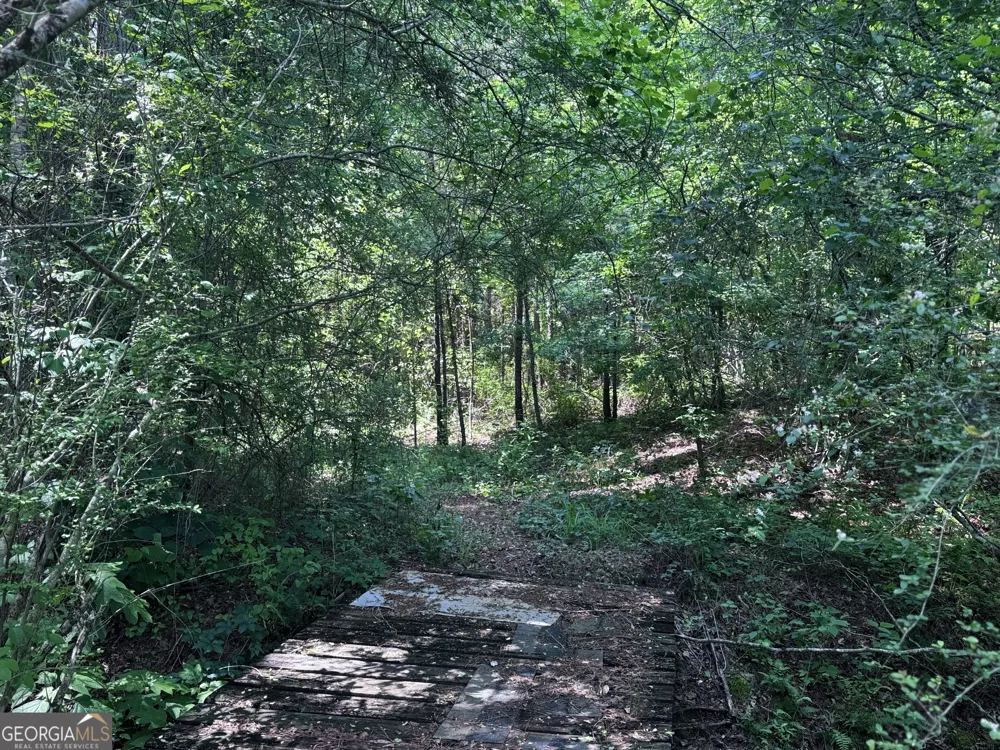 715+/- AC Ridgeway RD Franklin, GA 30217