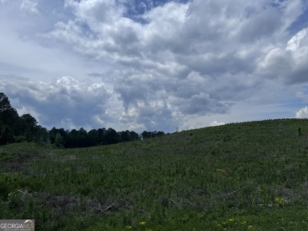 715+/- AC Ridgeway RD Franklin, GA 30217