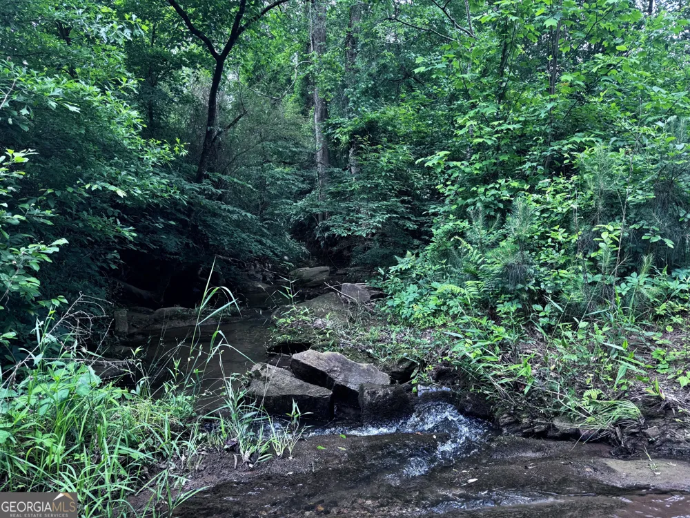 715+/- AC Ridgeway RD Franklin, GA 30217