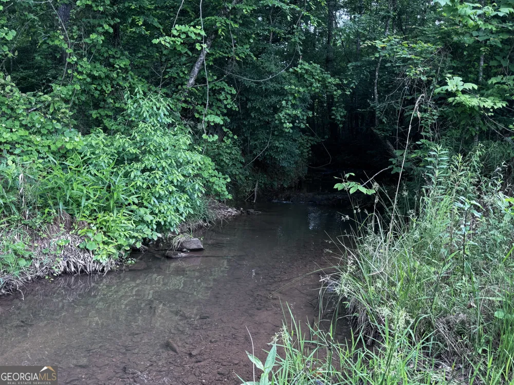715+/- AC Ridgeway RD Franklin, GA 30217