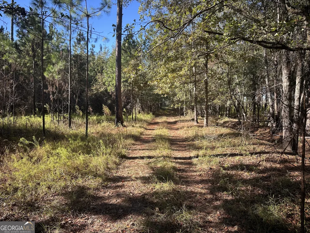 0 Buck Creek RD Sylvania, GA 30467