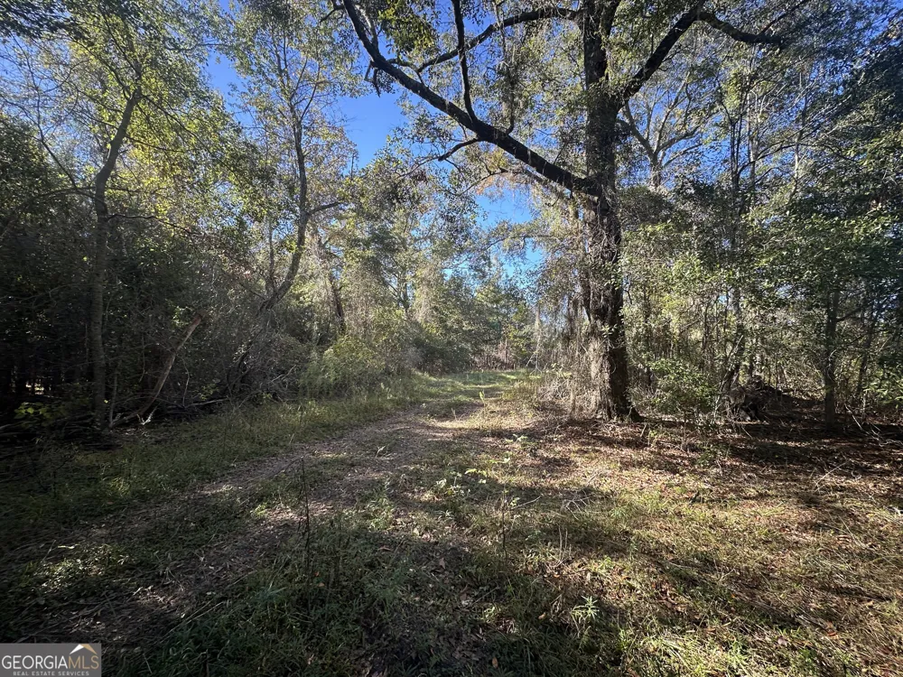 0 Buck Creek RD Sylvania, GA 30467