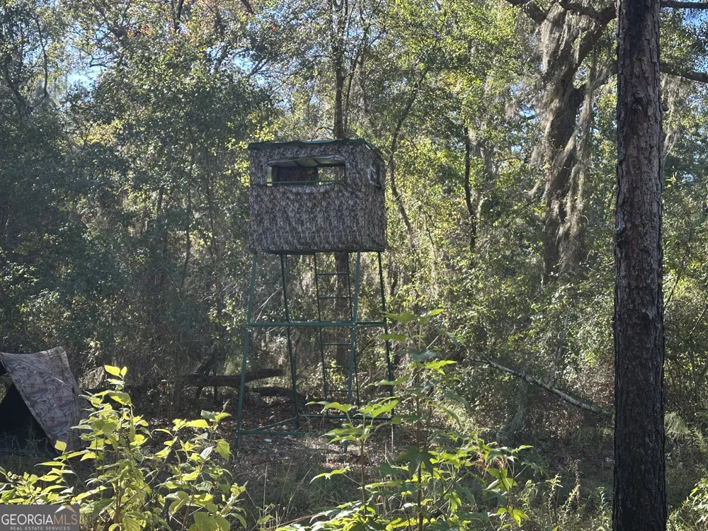 0 Buck Creek RD Sylvania, GA 30467