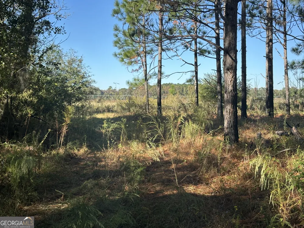 0 Buck Creek RD Sylvania, GA 30467