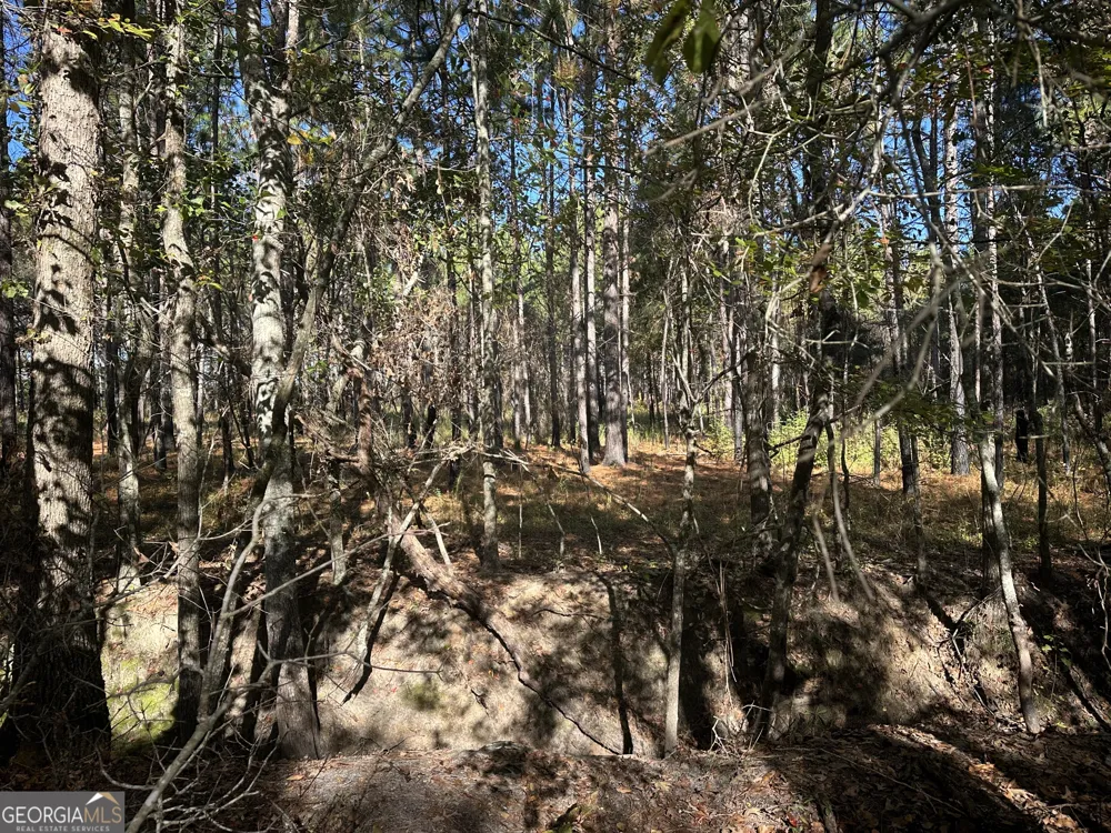 0 Buck Creek RD Sylvania, GA 30467