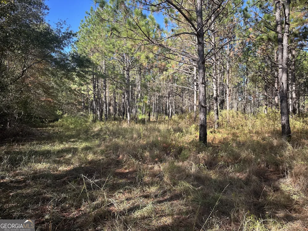 0 Buck Creek RD Sylvania, GA 30467