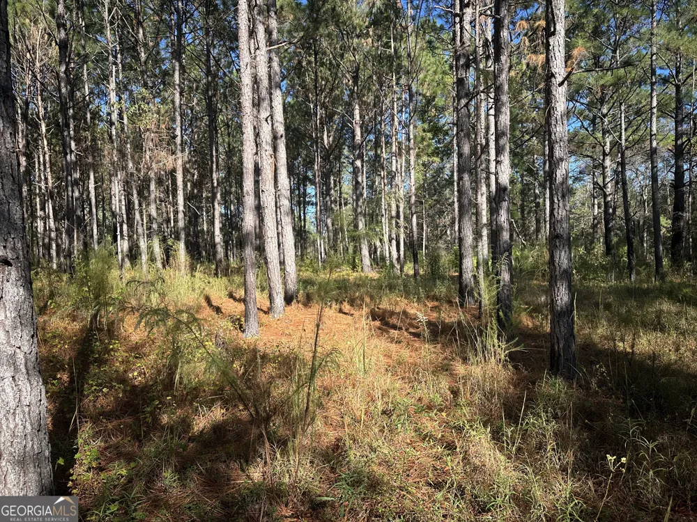 0 Buck Creek RD Sylvania, GA 30467