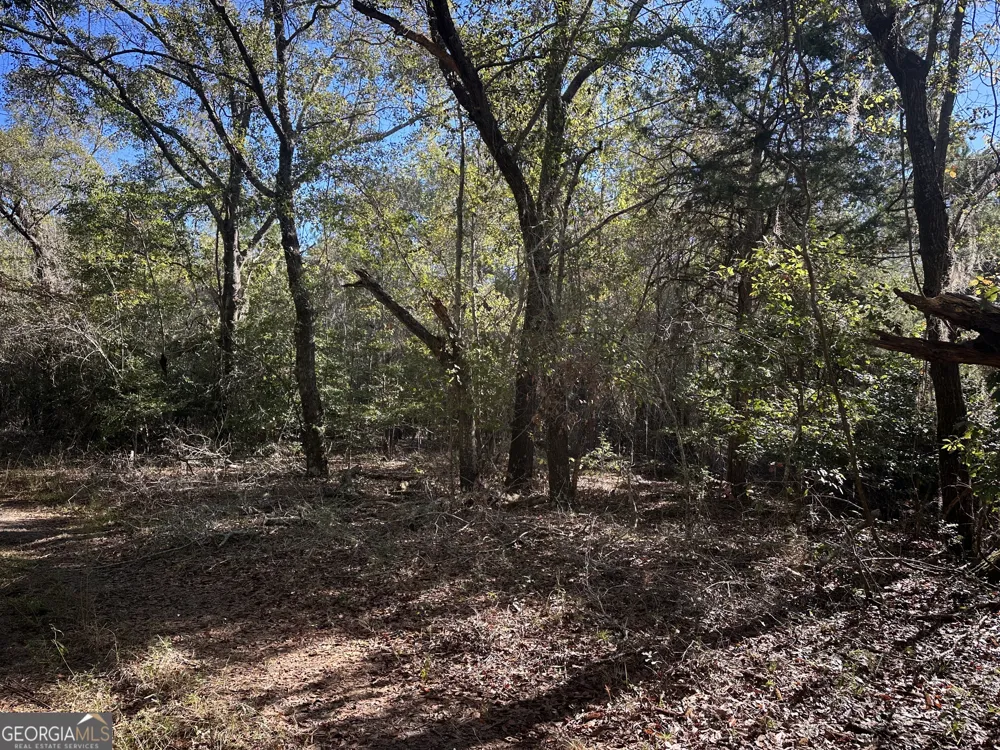 0 Buck Creek RD Sylvania, GA 30467