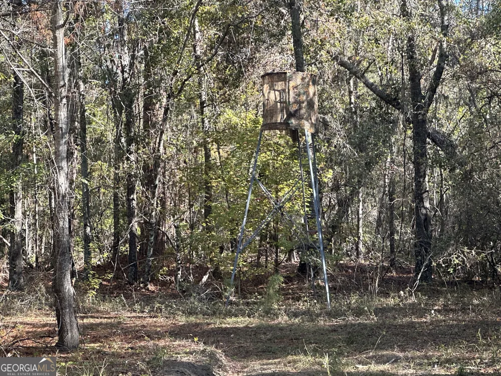 0 Buck Creek RD Sylvania, GA 30467