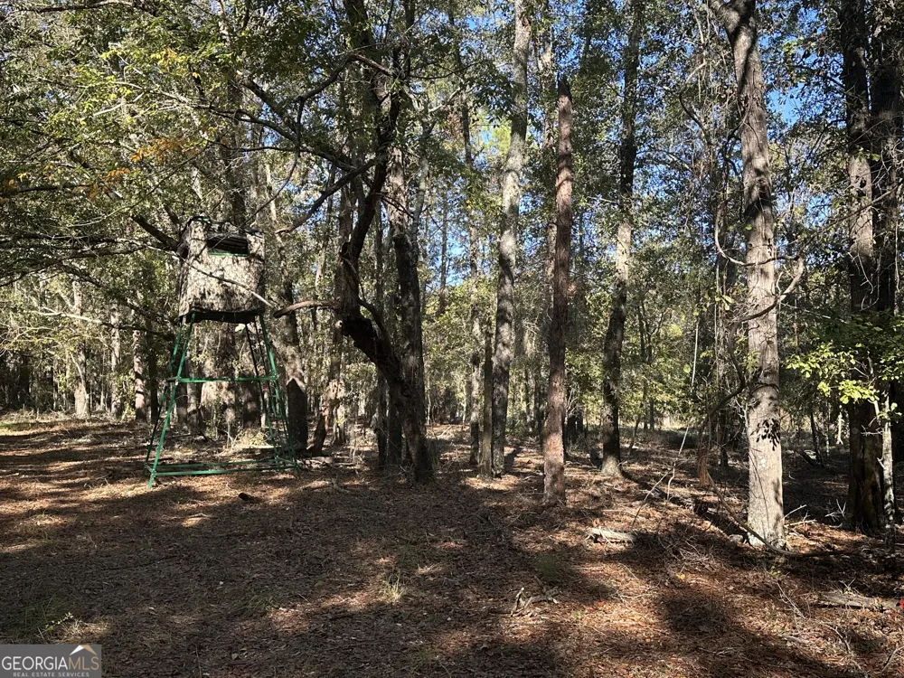 0 Buck Creek RD Sylvania, GA 30467