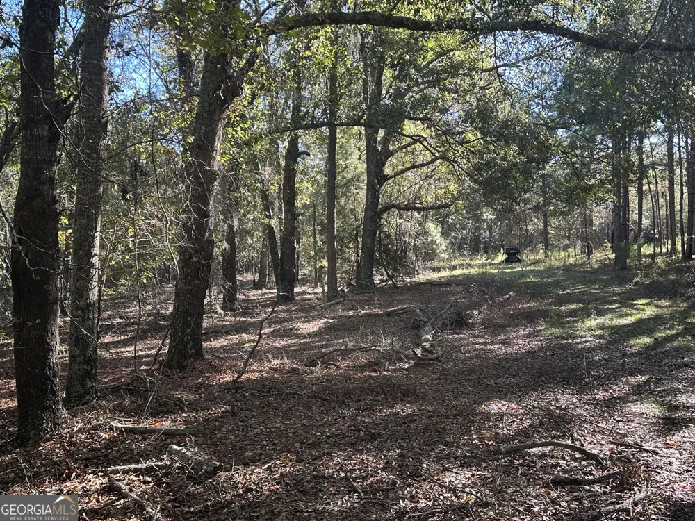 0 Buck Creek RD Sylvania, GA 30467