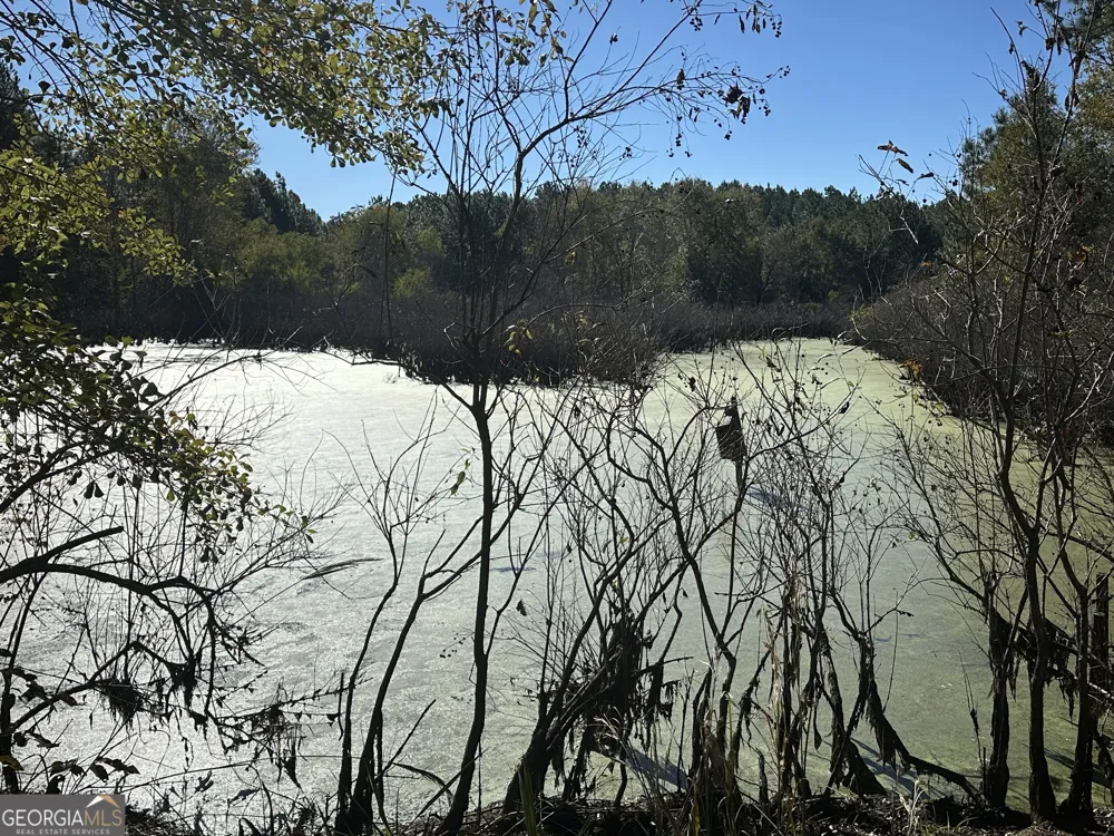 0 Buck Creek RD Sylvania, GA 30467