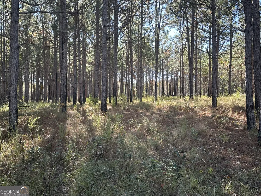 0 Buck Creek RD Sylvania, GA 30467