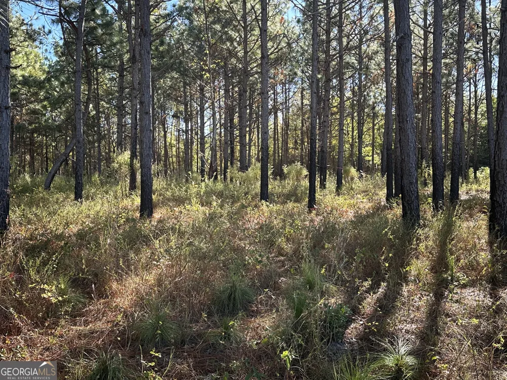0 Buck Creek RD Sylvania, GA 30467
